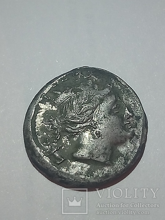 Херсонес-драхма Серебро 110-120 г до н. э, фото №6
