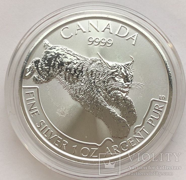 5 $ 2017 год Канада серебро 31,1 грамм 999,9’
