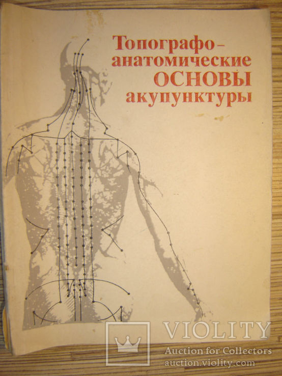 Топографо-анатомические основы акупунктуры., фото №2