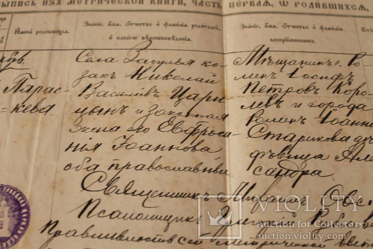 Выпис из митрической книги с.Засулье 1899г, фото №6