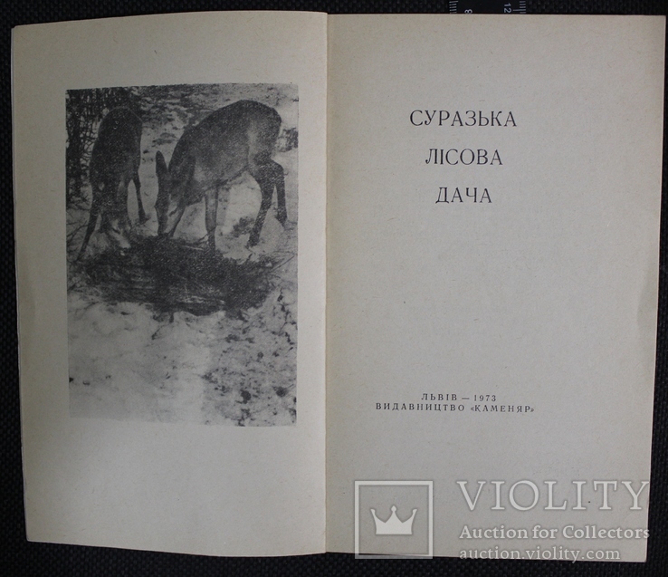 Суразька лісова дача, фото №4