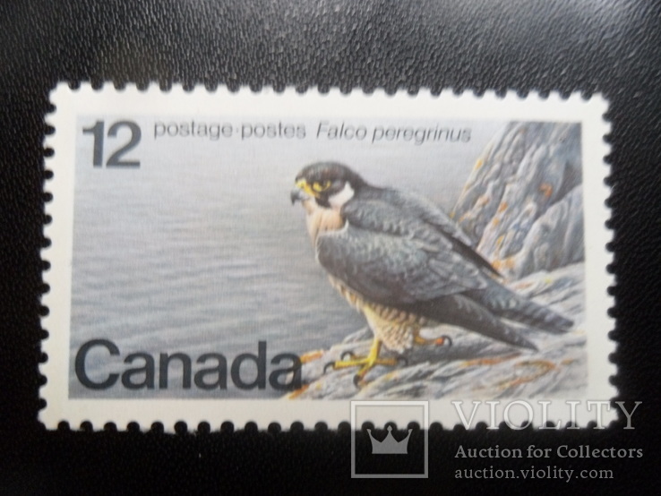 Фауна. Птицы. Канада.  MNH