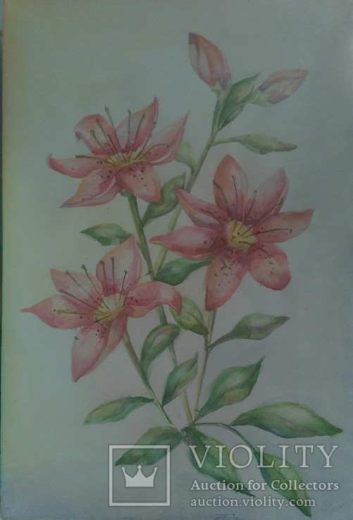 Розовые Лилии, фото №4