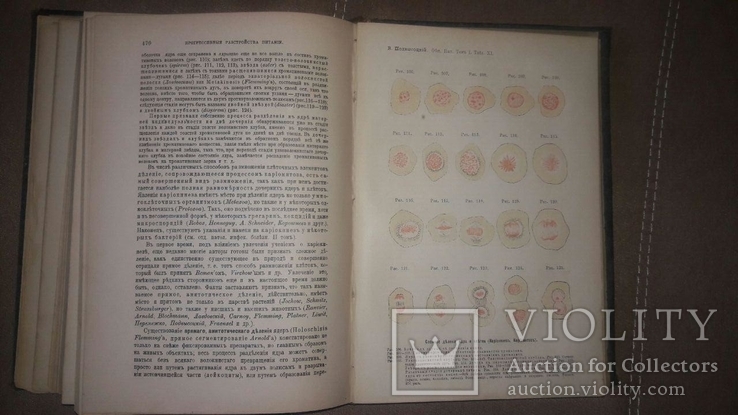 "Основы общей патологии" 1894 год,В.В.Подвысоцкий, фото №9