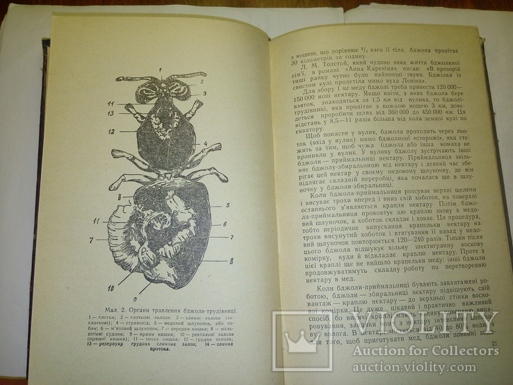 Лікувальні властивості меду і бджолиноі отрути (1960 г), фото №3