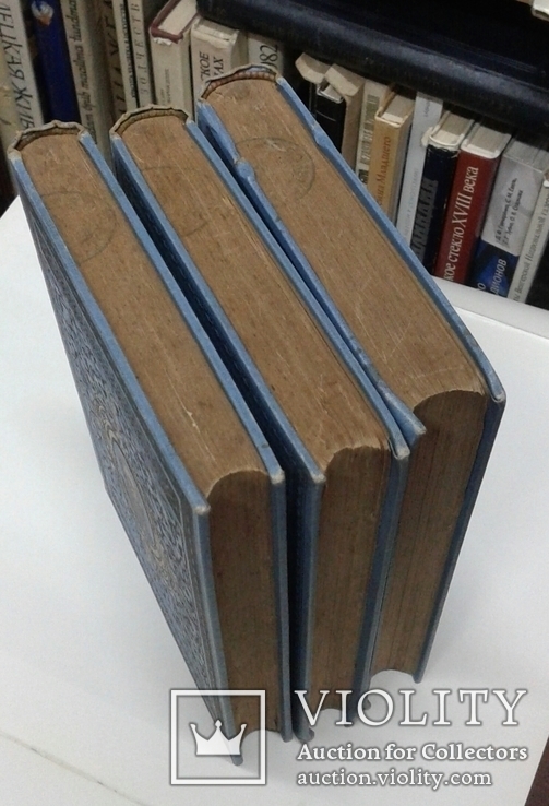 Ф. М. Достоевский. Том 9,10,11 ( Полный комплект Дневников писателя ) . СПБ.1895 г., фото №5