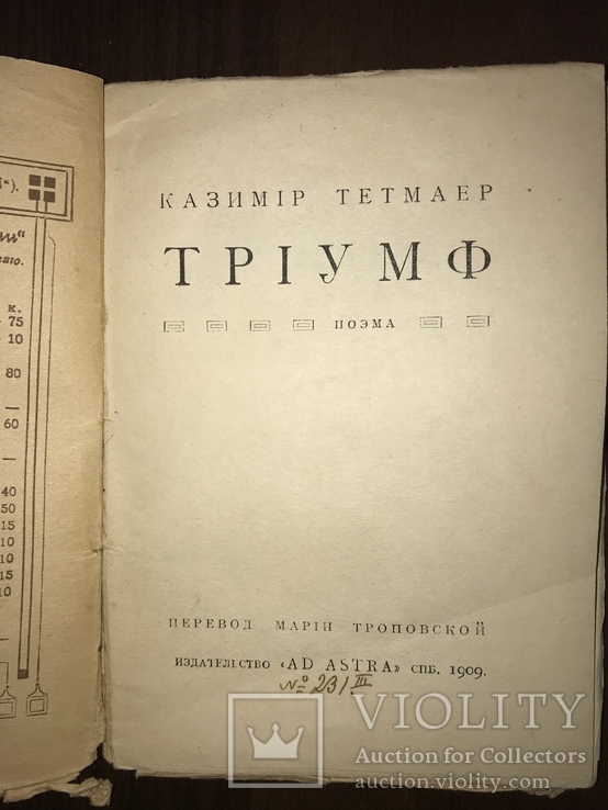 1909 Триумф Поэма К. Тетмаер, фото №3