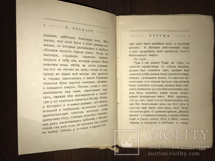 1909 Триумф Поэма К. Тетмаер, фото №4