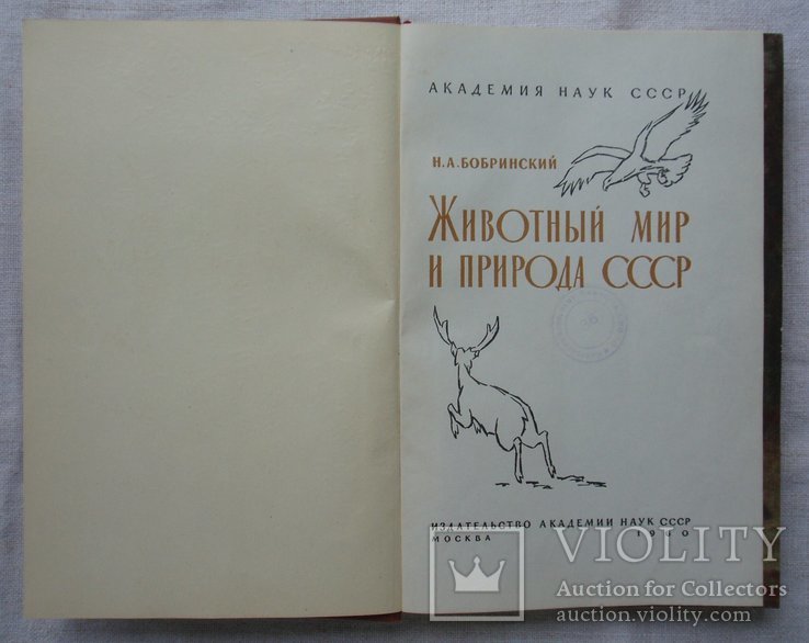 Животный мир и природа СССР. Академия наук СССР. 1960г., фото №2