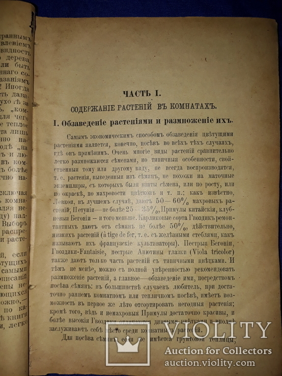 1903 Цветоводство, фото №4