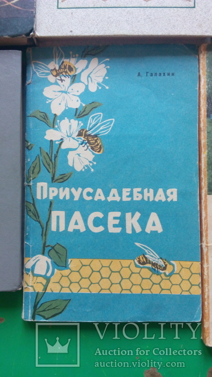 Бджільництво, пасіка, вулики. Пчеловодство, ульи пчолы., фото №13