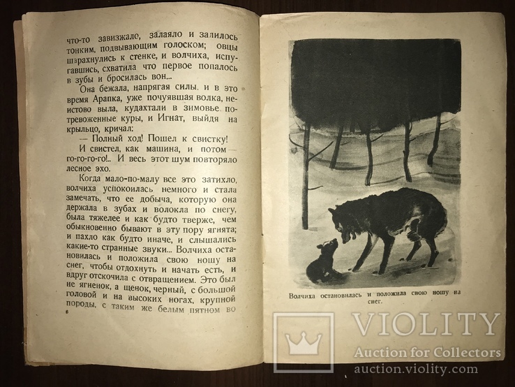 1936 Детская книжка Рисунки Кузнецова, фото №5