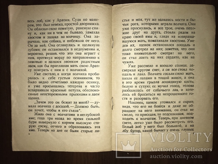 1936 Детская книжка Рисунки Кузнецова, фото №6