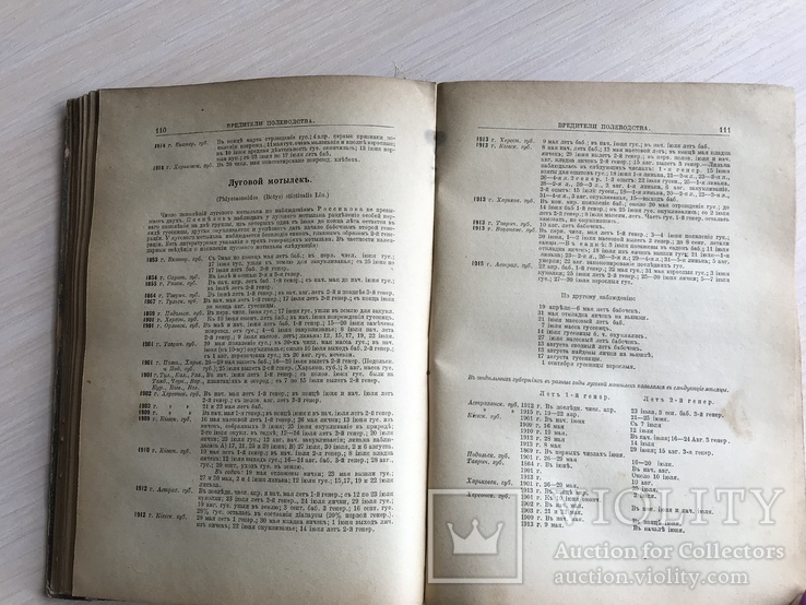 1916 Календарь русской природы, фото №9