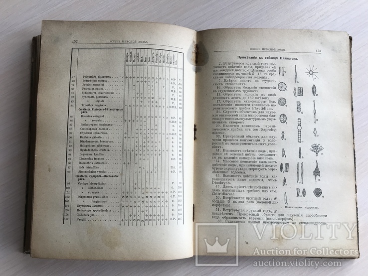 1916 Календарь русской природы, фото №10