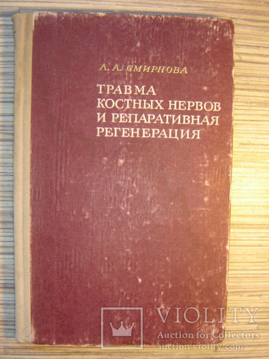 Травма костных нервов и репаративная регенерация., фото №2