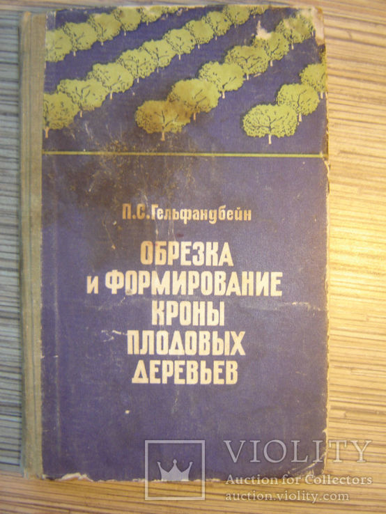 Обрезка и формирование кроны плодовых деревьев.