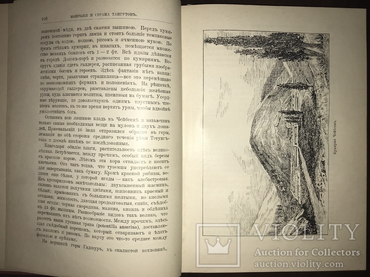 Путешествие Пржевальского в красивом переплете до 1917 года, фото №7