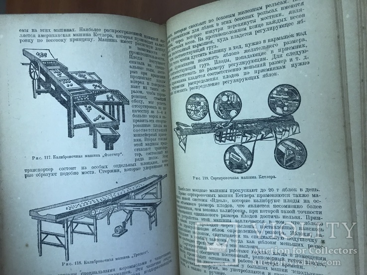 1934 Плодоводство, экономика и Агротехника плодово-ягодных культур, фото №5