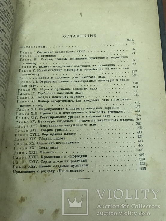 1934 Плодоводство, экономика и Агротехника плодово-ягодных культур, фото №9