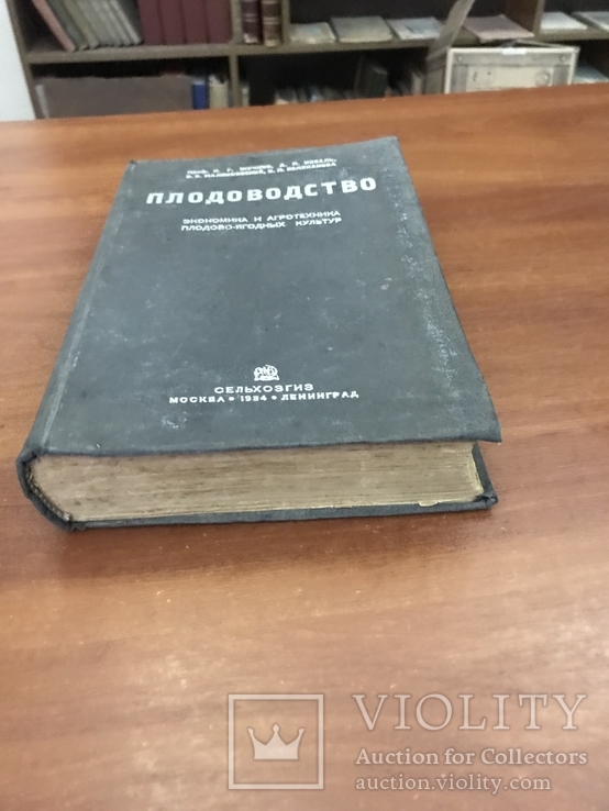 1934 Плодоводство, экономика и Агротехника плодово-ягодных культур, фото №11