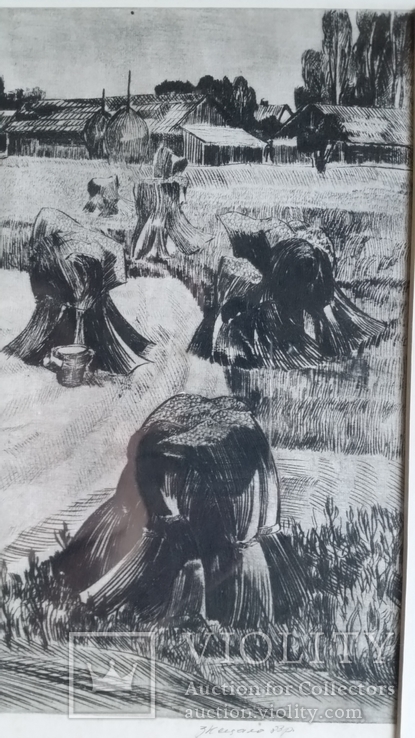 Кецало З. Поліський льон, 1983, суха голка, 31,5х41,5 см, фото №6