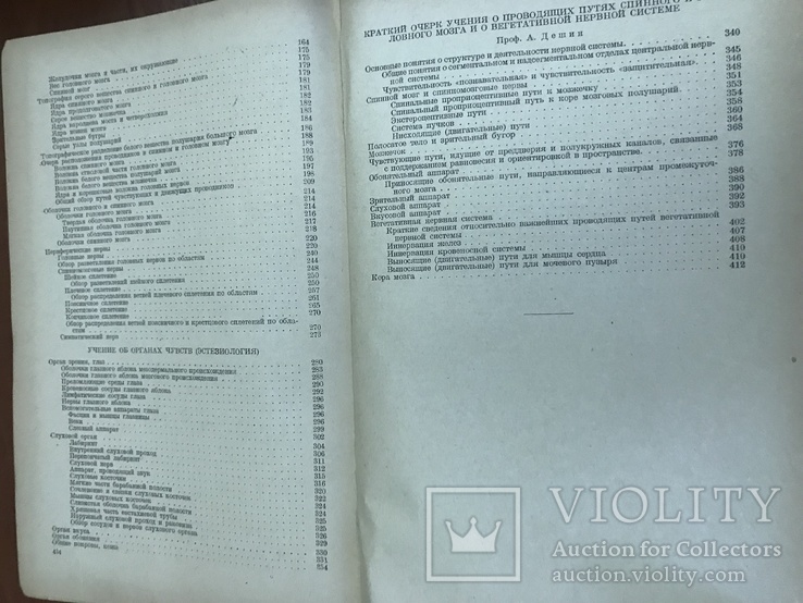 1938 Анатомия человека, 2 тома, фото №10