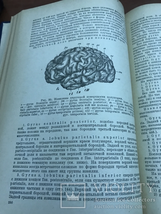 1938 Анатомия человека, 2 тома, фото №12