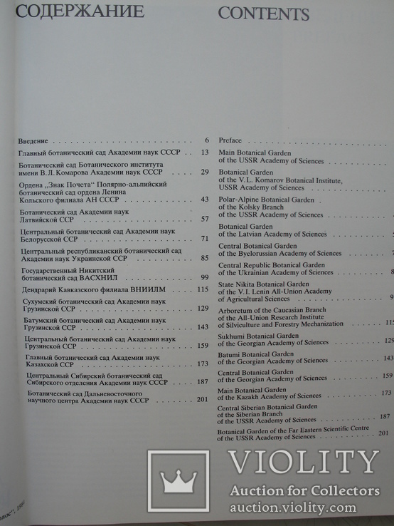 "Ботанические сады СССР" П.Лапин, 1984 год, фото №5