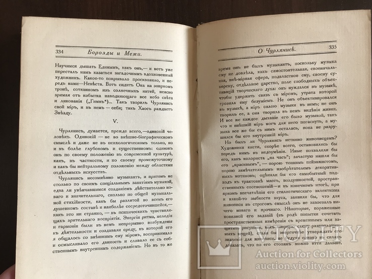 1916 Борозды и межи Опыты эстетические и критические, фото №12