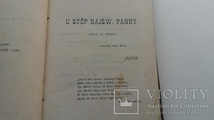 Книга на польском языке 1901 года, фото №6