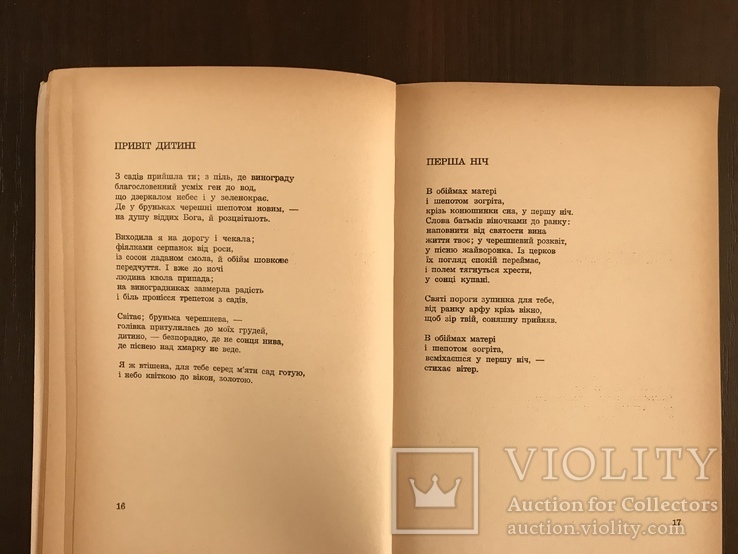 Поезії Співуче поле І. Шуварська, фото №6