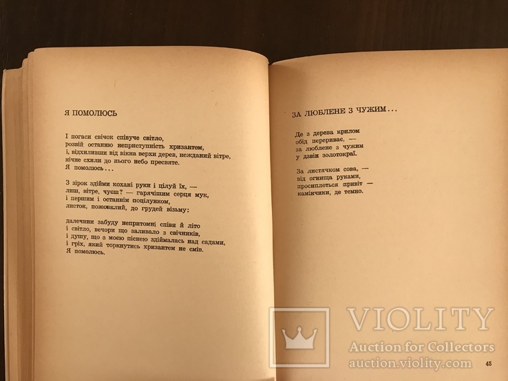Поезії Співуче поле І. Шуварська, фото №10