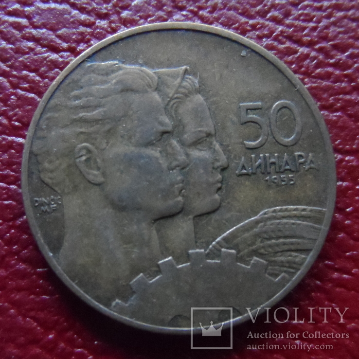 50 динар  1955  Югославия  ($3.3.20)~, фото №2