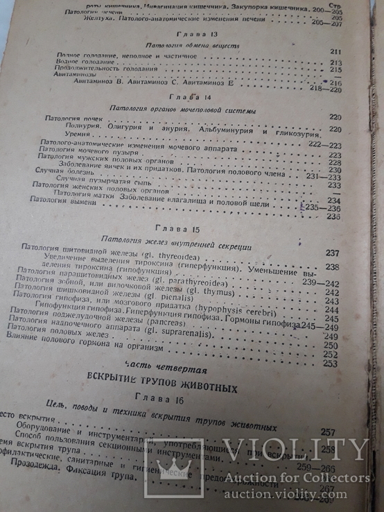 Паталогическая физиология и анатомия., фото №3