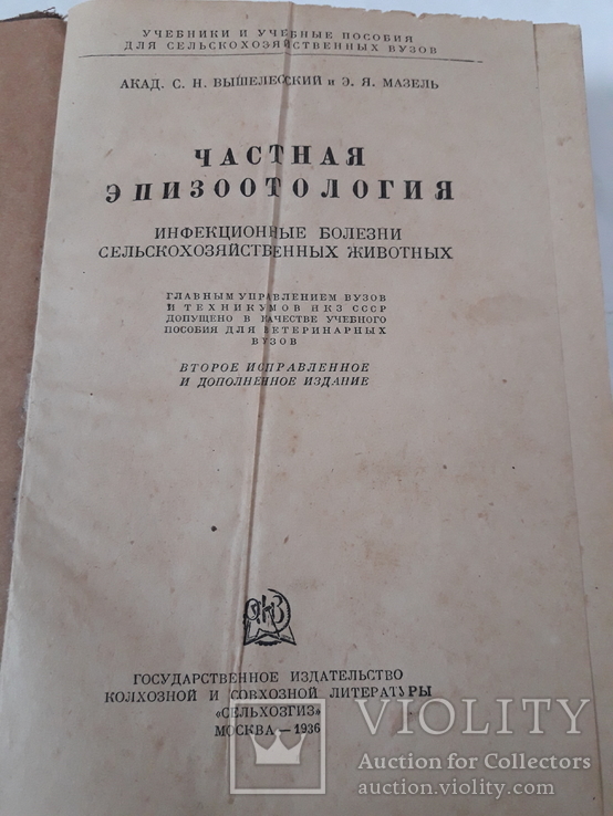 Частная эпизоотерапия., фото №2