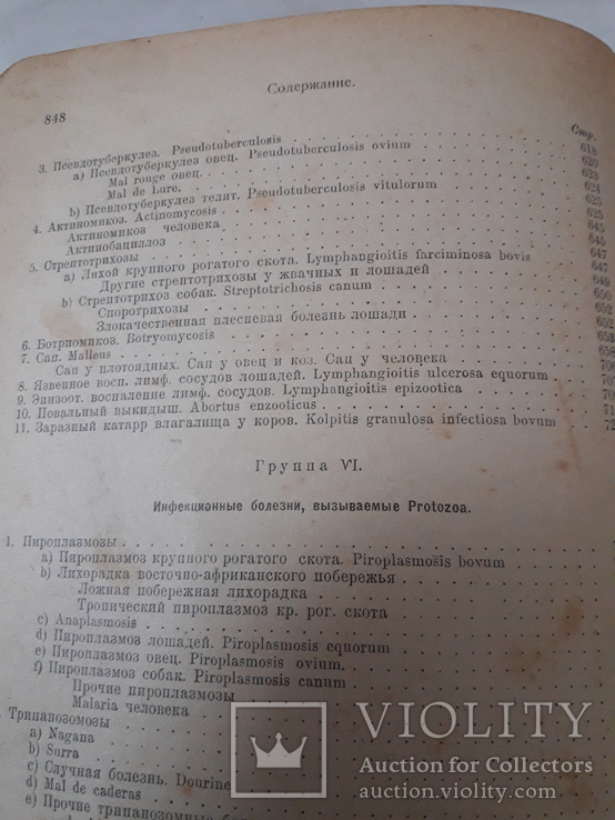 Частная патология и терапия домашних животных том 1. Номер2., фото №3