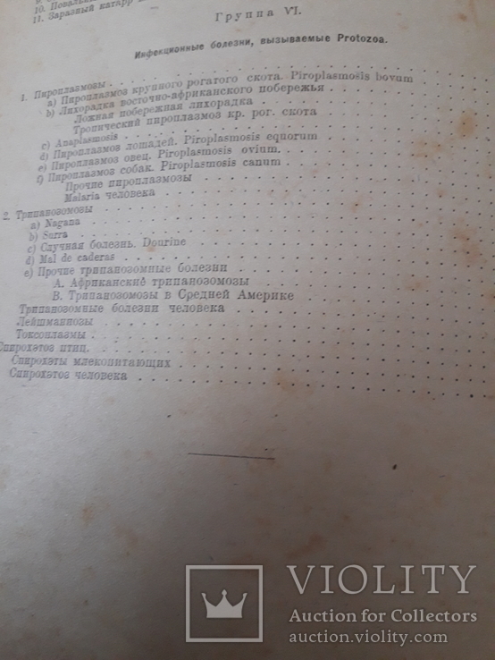 Частная патология и терапия домашних животных том 1. Номер2., фото №4