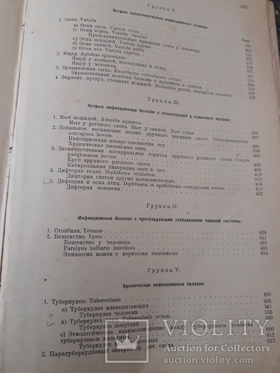 Частная патология и терапия домашних животных том 1. Номер2., фото №6