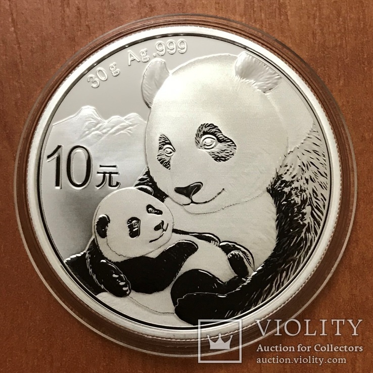 Китай - 10 юаней 2019 "Китайская Панда / Chinese Panda" Серебро Ag 999 - новинка, UNC