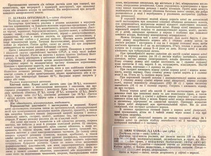 Довідник з фітотерапії.1986 р., фото №10