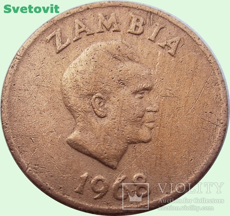 167.Замбия 1 нгве, 1968 г.,африканский трубкозуб, фото №3
