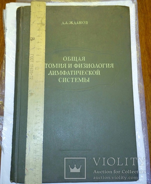 Общая анатомия и физиология лимфатической системы (Жданов)