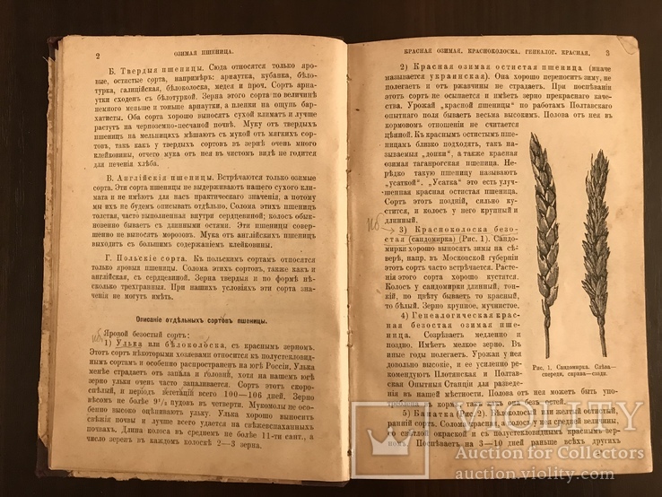 1913 Подарок Украинскому фермеру Для Юга и Юго-Запада, фото №6
