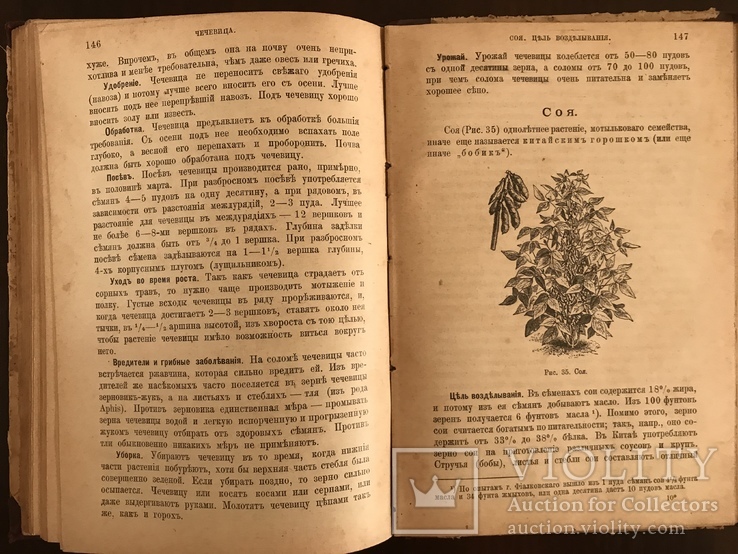 1913 Подарок Украинскому фермеру Для Юга и Юго-Запада, фото №12