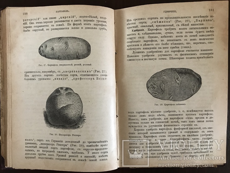 1913 Подарок Украинскому фермеру Для Юга и Юго-Запада, фото №2