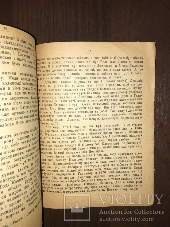 Бороньба України за свою свободу, фото №9