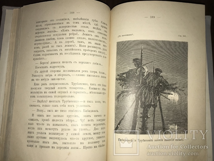 1902 Охота в камышах Каразина, фото №5