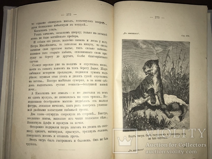 1902 Охота в камышах Каразина, фото №12