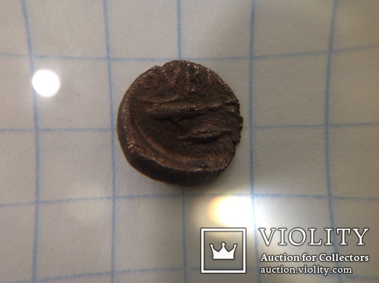 Монета Ольвии., фото №7
